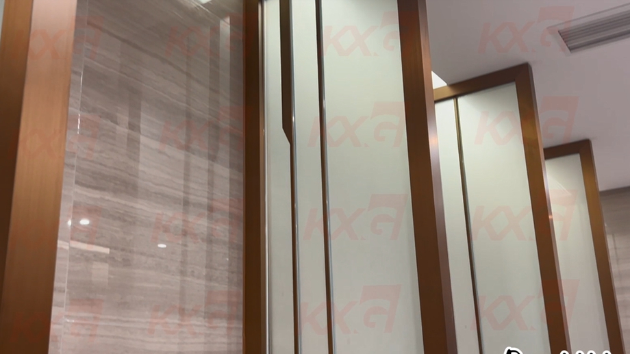 Kunxing Glass ---- Frosted Partition Glass